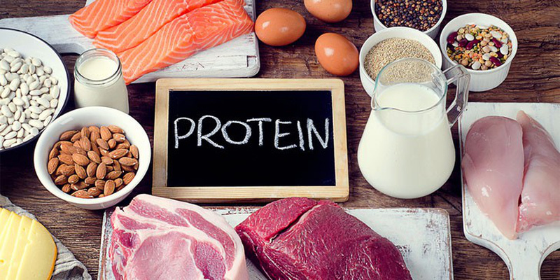 10 thực phẩm giàu protein cho người tập gym tăng cơ giảm mỡ giá rẻ